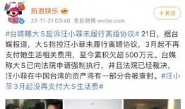 汪小菲爆料清单最新,揭秘娱乐圈不为人知的幕后故事